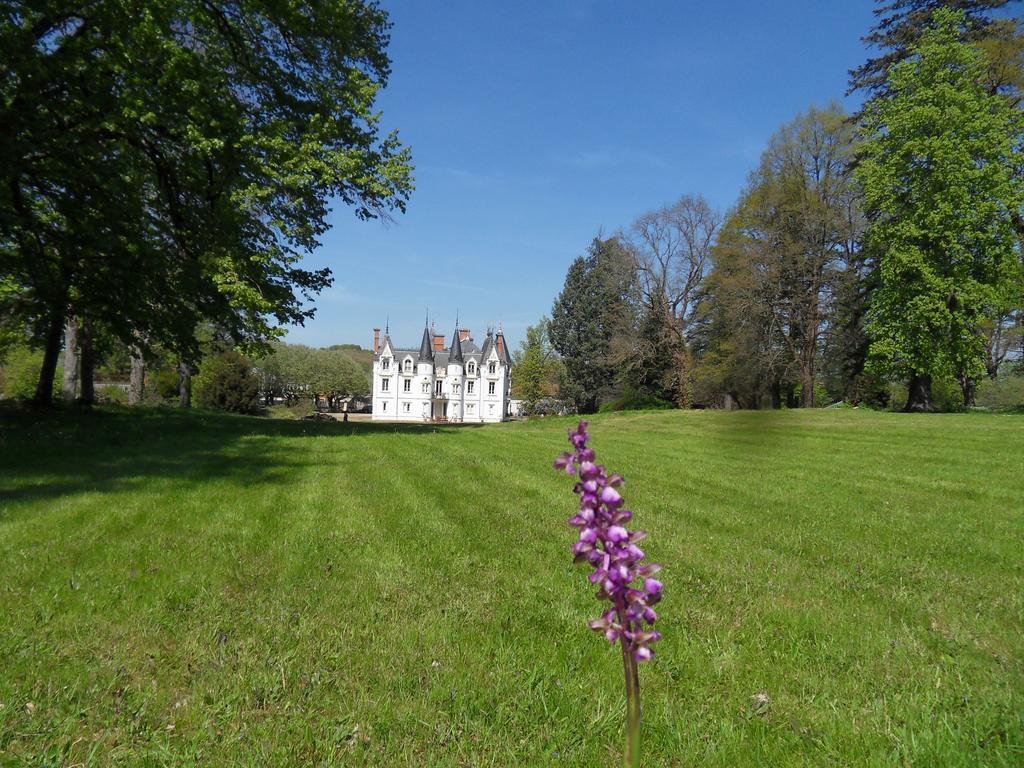 Chateau De La Motte Noailly Luaran gambar